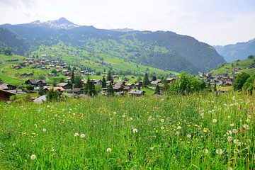Wilde voorjaarsbloemen in Grindelwald van Frank's Awesome Travels