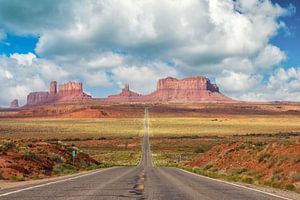 Highway to Monument Valley von Ilya Korzelius