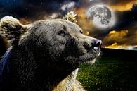 Bear Moon Galaxy by Mateo thumbnail