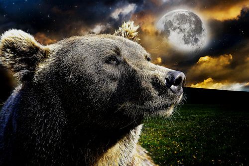 Bear Moon Galaxy