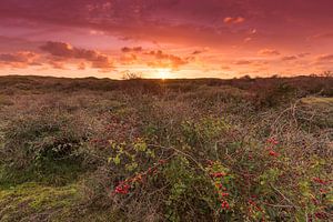 Coucher de soleil dans les dunes de Texel