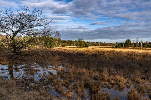 Heideveld St. Anthonis