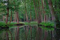 Spreewald-Impression 4.0 von Ingo Laue Miniaturansicht