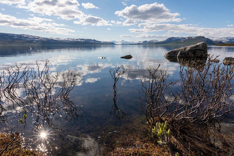 Landschap met meer in Finland van Caroline Pleysier