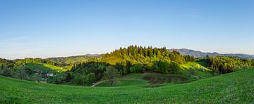 Germany, XXL large panorama view on sunset light over black fore by adventure-photos