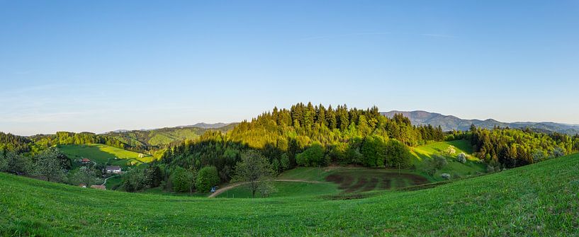 Allemagne, XXL grande vue panoramique sur la lumière du coucher de soleil sur le fore noir par adventure-photos
