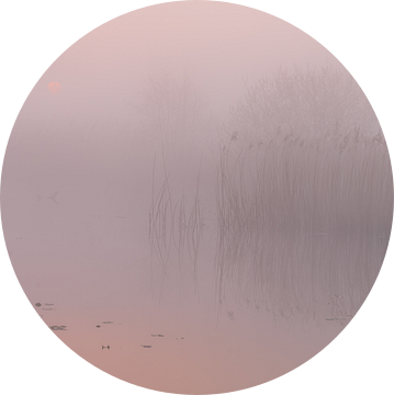 Pastel sunrise van Sander van der Werf