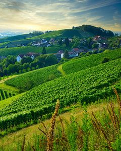 Schwarzwald, Sasbachwalden II