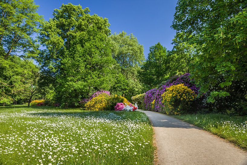 Frühsommer im Kurpark von Bad Homburg vor der Höhe by Christian Müringer