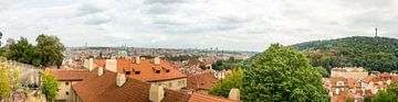 Uitzicht over de heuvels van Praag. van Peter de Jong