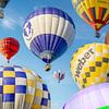 Twente Ballooning van Frans Nijland