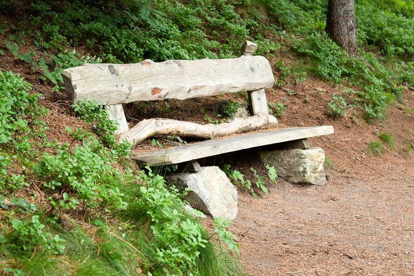 bench in the woods by Rene Bakker