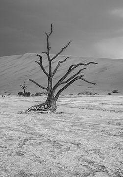 Deadvlei in Sossusvlei, Namibië van Patrick Groß