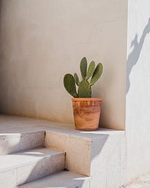 Spanish architecture by Dayenne van Peperstraten