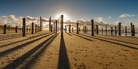 Palendorp Petten tijdens zonsondergang. van Menno Schaefer thumbnail