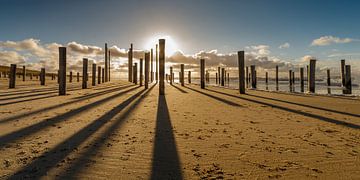 Palmendorf Petten bei Sonnenuntergang.