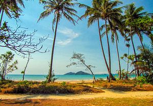 Tropischer Strand Queensland mit Blick auf Dunk Island, Australien