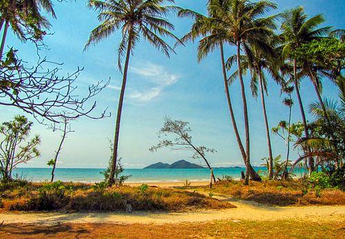 Tropisch strand van Queensland met zicht op Dunk Island, Australië
