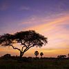 Sonnenaufgang in Uganda von Alexander Ludwig