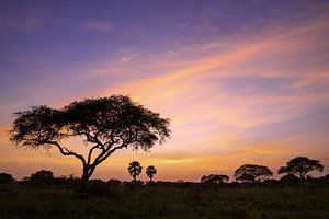 Sonnenaufgang in Uganda