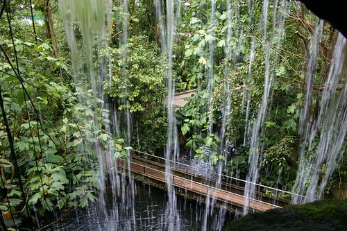 Waterfall in Burgers Zoo by Mark Franken
