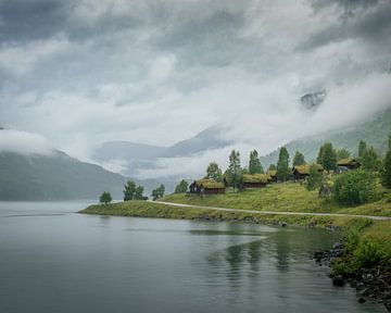 Bring Setter by Caatje Clicks