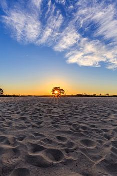 Die orange Sonnenuntergang
