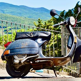 De Vespa scooter is puur Italiaans van Jan Radstake