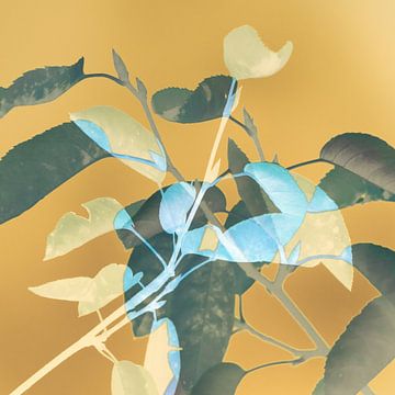 Herfstkleuren fantasie van Boudewijn Swanenburg