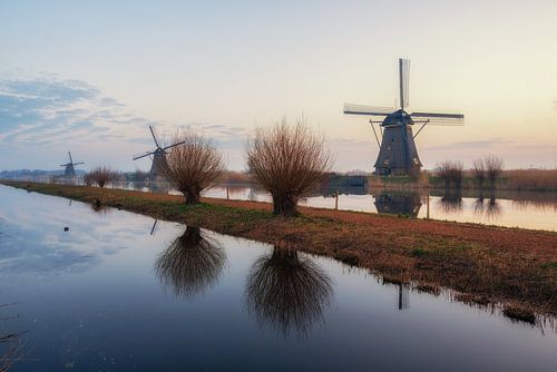 Windmolens in de ochtend