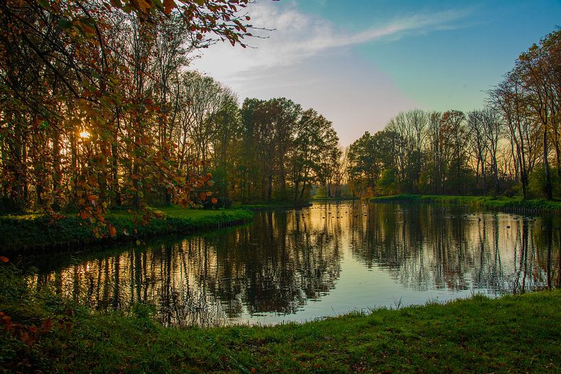 Vue de la forêt Ter Hooge, Middelburg. par Hartsema fotografie