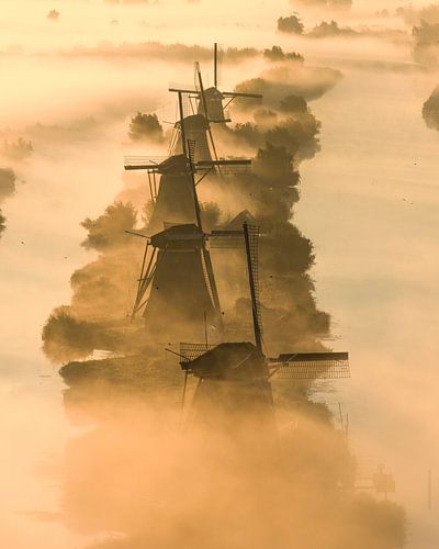 Kinderdijk – Nederlandse Windmolens bij Zonsopkomst