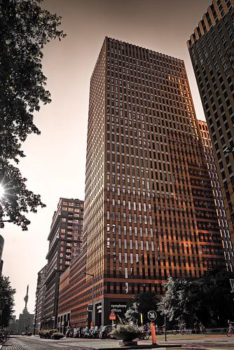 Zuidas Amsterdam Dimanche matin