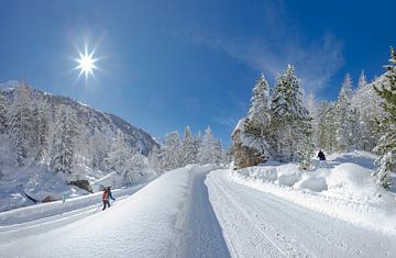 Een langlaufer en wandelaars in het zwaar besneeuwde Roseg dal, Pontresina, Oberengadin, Zwitserland van Rene van der Meer