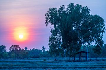 Hutje bij zonsondergang , Thailand van Nico D'hont