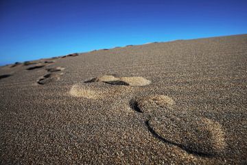 Fussspuren im Sand von Frank Herrmann