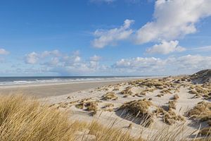 Belle impression d'île à Terschelling sur Lydia