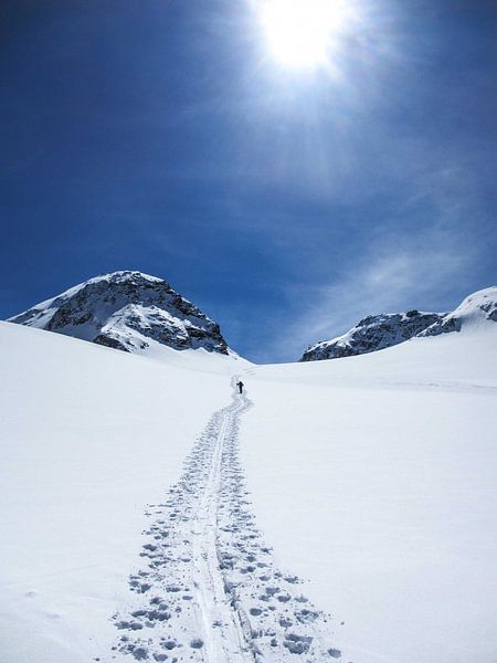 Skitour Schneeglocke von Johnny van der Leelie
