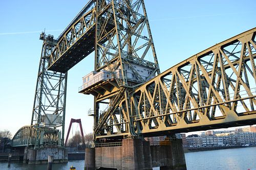 De Hef met nieuwe Willemsbrug in Rotterdam. by Aletta Smits-Hessels