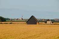 Typisch Texels van Peter Schoo - Natuur & Landschap thumbnail