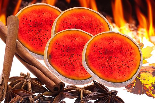 Gezellige herfstdagen