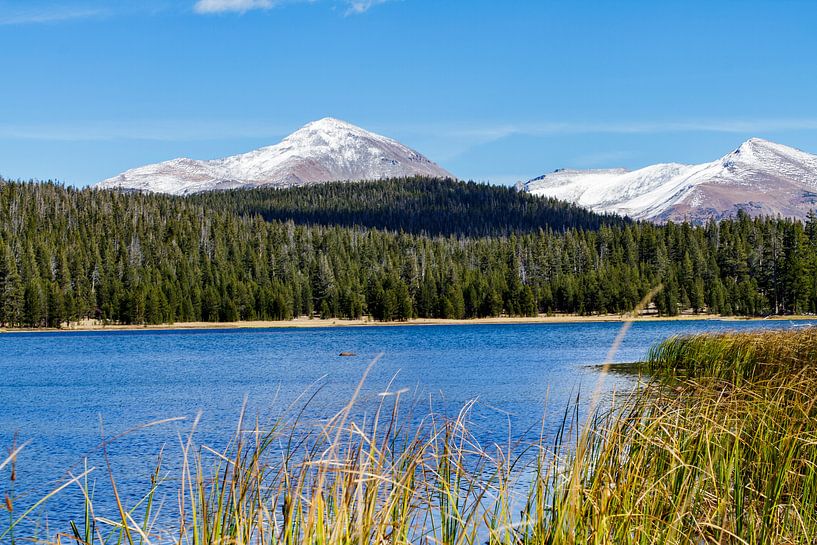 Lac Dog dans le parc national Yosemite par Easycopters