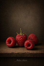 Raspberry — still life in classical light by Bert Quaedvlieg