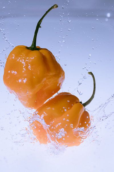 Habaneros splashed 2 von Marc Heiligenstein