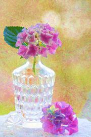 Hortensia von Janny Kleijn