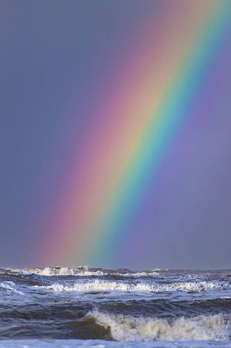 Brede Regenboog