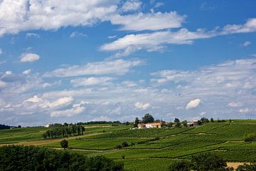 Landscape in the South of France by Anja B. Schäfer