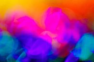 Bloemen-abstract von Paul Roholl Miniaturansicht