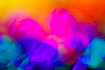 Bloemen-abstract van Paul Roholl