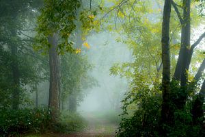 Herbstmorgen im Nebel von Kees van Dongen